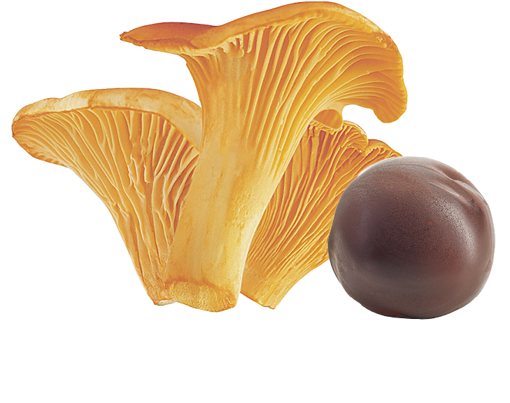 Pfifferlinge